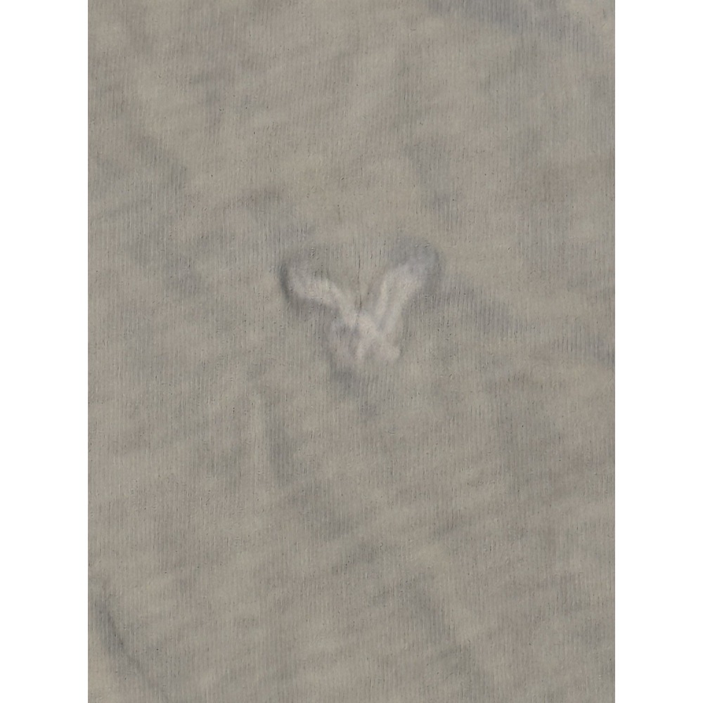 American Eagle T Shirt Mens Size M White Legend T Classic Fit Slub Knit Logo - Picture 3 of 9